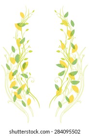 beautiful leaves