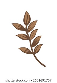 beautiful leaves isolated on a white background