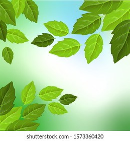 Beautiful leaves on sky background, great design for any purposes. Summer outdoor. Beautiful nature landscape. Tree decoration. Wallpaper background. Organic texture