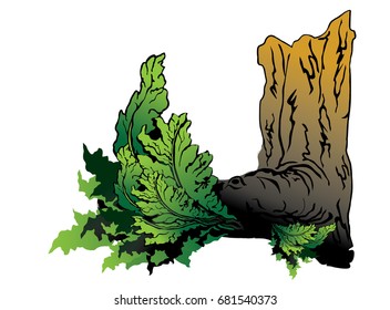 A beautiful leaves on timber.