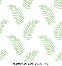 Hermoso fondo de decoración de patrones de hojas. Patrón Ornamento de decoración con motivos botánicos, hoja verde natural, hoja de hojas, hoja de palma, follaje, prospecto, diseño de vector de aguja. adorno para papel pintado, envolver.