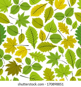 Beautiful leaves seamless pattern, vector natural endless background, spring background.