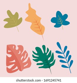 Beautiful Leaves set illustrations, vector