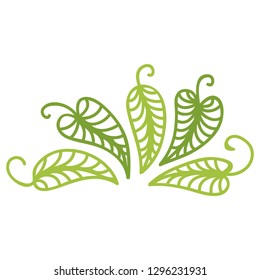 Beautiful leaves. Vector illustration