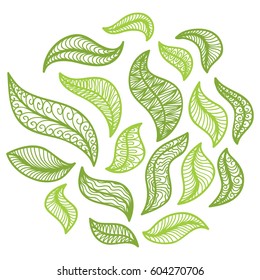 Beautiful leaves. Vector illustration.