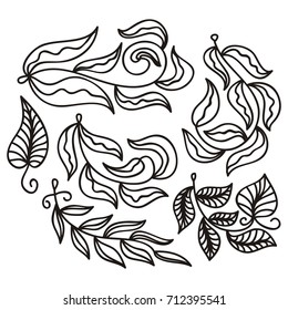 Beautiful leaves. Vector illustration.