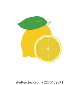 A beautiful lemon vector art work.