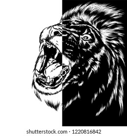 Beautiful leo with open mouth and fangs. Wild animal, predator. Vector illustration for greeting card or poster, print on clothes. Hand drawing. Lion.
