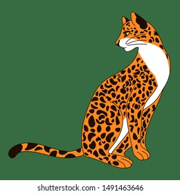 
Beautiful leopard on a green background. Vector illustration.