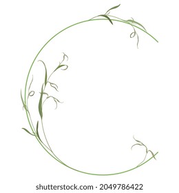 Beautiful letter C with green branches. Floral font. Artistic alphabet with botanical motifs. Isolated vector illustration.