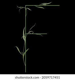 Beautiful letter F with green branches. Floral font. Artistic alphabet with botanical motifs. On black background.