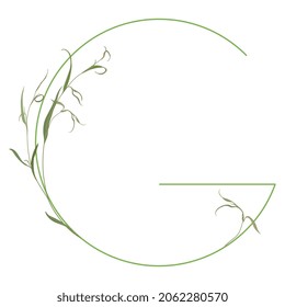 Beautiful letter G with green branches. Floral font. Artistic alphabet with botanical motifs. Isolated vector illustration.