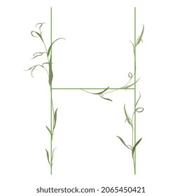 Beautiful letter H with green branches. Floral font. Artistic alphabet with botanical motifs. Isolated vector illustration.