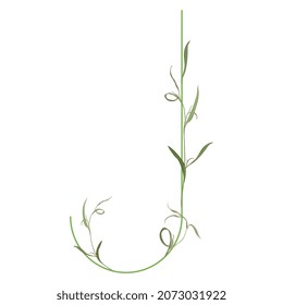 Beautiful letter J with green branches. Floral font. Artistic alphabet with botanical motifs.