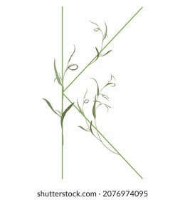 Beautiful letter K with green branches. Floral font. Artistic alphabet with botanical motifs.