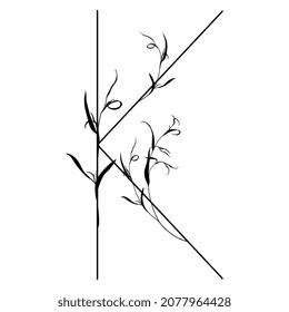 Beautiful letter K with leaves or grass motifs. Floral font. Botanical alphabet. Black silhouette on white background.