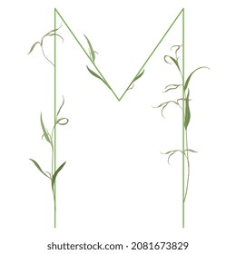 Beautiful letter M with green branches. Floral font. Artistic alphabet with botanical motifs.