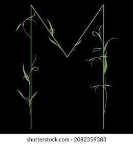 Beautiful letter M with green branches. Floral font. Artistic alphabet with botanical motifs. On black background.