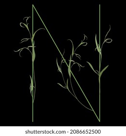 Beautiful letter N with green branches. Floral font. Artistic alphabet with botanical motifs. On black background.