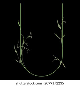 Beautiful letter U with green branches and leaves. Floral font. Artistic alphabet with botanical motifs. On black background.