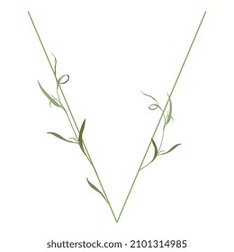Beautiful letter V with green branches and leaves. Floral font. Artistic alphabet with botanical motifs.