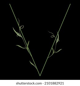 Beautiful letter V with green branches and leaves. Floral font. Artistic alphabet with botanical motifs. On black background.