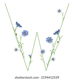 Beautiful letter W with blooming branches of cornflower or knapweed plant (Centaurea). Floral font. Botanical alphabet with blue flowers.