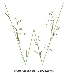 Beautiful letter W with green branches and leaves. Floral font. Artistic alphabet with botanical motifs.