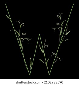 Beautiful letter W with green branches and leaves. Floral font. Artistic alphabet with botanical motifs. On black background.