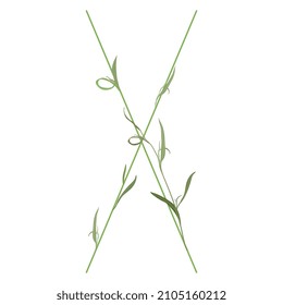 Beautiful letter X with green branches and leaves. Floral font. Artistic alphabet with botanical motifs.