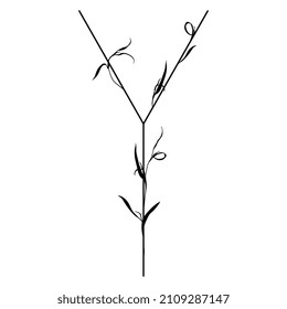 Beautiful letter Y with leaves or grass motifs. Floral font. Botanical alphabet. Black silhouette on white background.