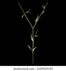 Beautiful letter Y with leaves or grass motifs. Floral font. Botanical alphabet. Golden glossy silhouette on black background.