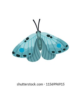 Beautiful light blue butterfly insect vector Illustration on a white background