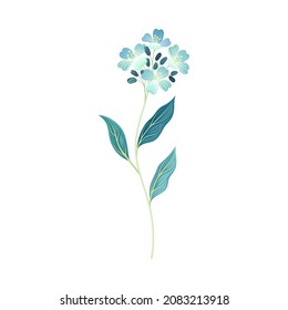 Beautiful light blue flowers, trendy color floral design element vector illustration