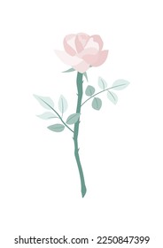 hermoso vector rosa rosa claro aislado en fondo blanco