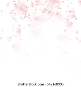Beautiful light spring background pattern with pink flying petals of sakura - Japanese cherry tree. Floral romantic white wallpaper. EPS 10 vector file included