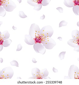 Beautiful light spring background seamless pattern with white sakura blossom - japanese cherry tree and flying petals. Floral romantic wallpaper. Vector illustration