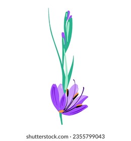 Beautiful lilac color gladiolus like flower composition. Vector simple bright color botanical group for decoration. Floral element.