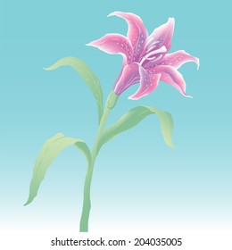  Beautiful lily. Floral background.