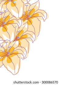 beautiful Lily floral background. vector image