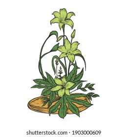 beautiful lily flower arrangement in vector format