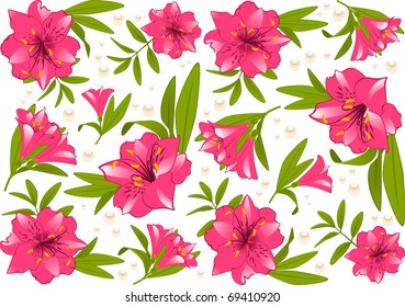 Beautiful Lily on the background. Vector