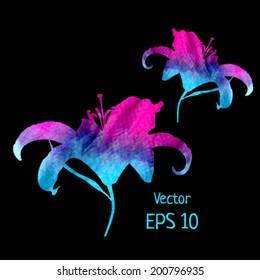Beautiful lily on black background. Vector illustration