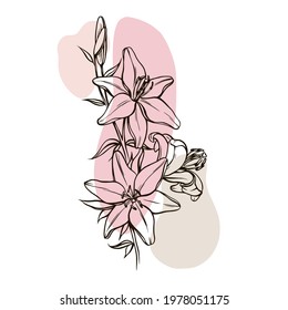 beautiful lily in the style of black and white. Many similarities in the profile of the artist