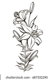 beautiful lily in the style of black and white. Many similarities in the profile of the artist