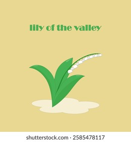 beautiful lily of the valley with bright green leaves. Vector illustration