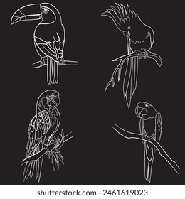 Beautiful line art of birds set.