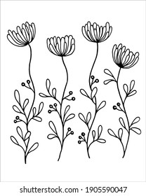 Beautiful line art flower, Hand drawn flowers, Vector illustration, flower line vector, flower line drawings