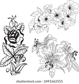 Beautiful Line Art Flower Vector 