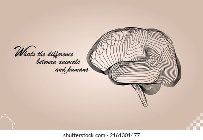 beautiful line art of human brain cerebellum organ side view. Similar to a 3D modeling rig, geometric mesh 